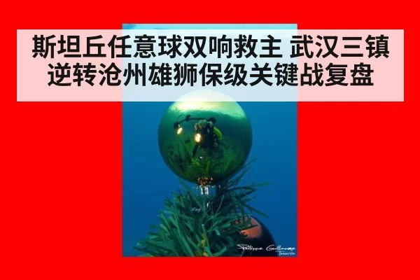 斯坦丘任意球双响救主 武汉三镇逆转沧州雄狮保级关键战复盘